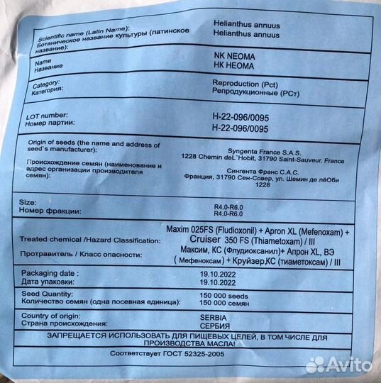 Семена подсолнечник сингента