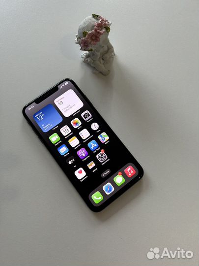 iPhone Xs Max, 512 ГБ