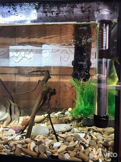 Аквариум Aquael 54л