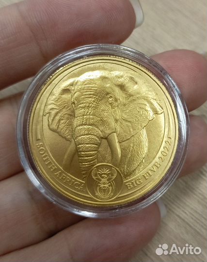 Золотая монета 
