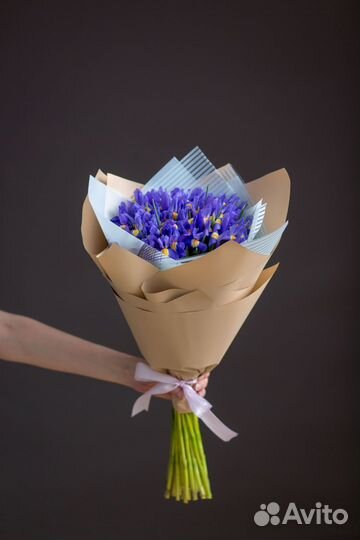 Букет из 25 ирисов