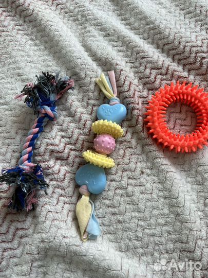 Игрушки для собак