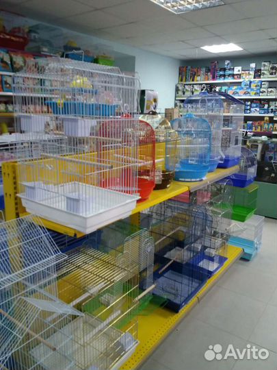 Попугай волнистый и клетки