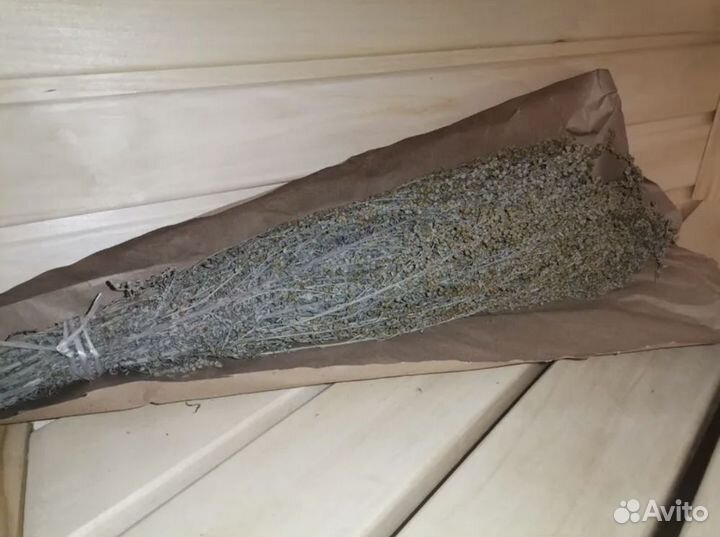 Полынь горькая