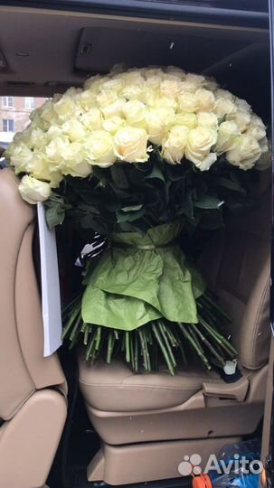Букет роз. Цветы. 51 Роза 101 Роза