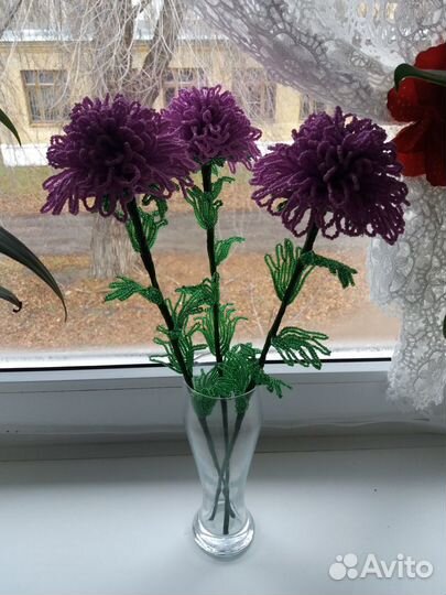 Хризантемы