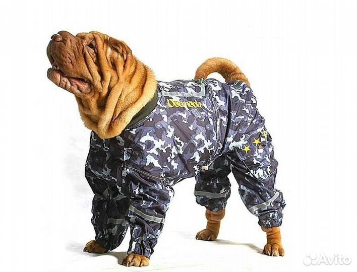 Дождевики, куртки и комбинезоны для собак