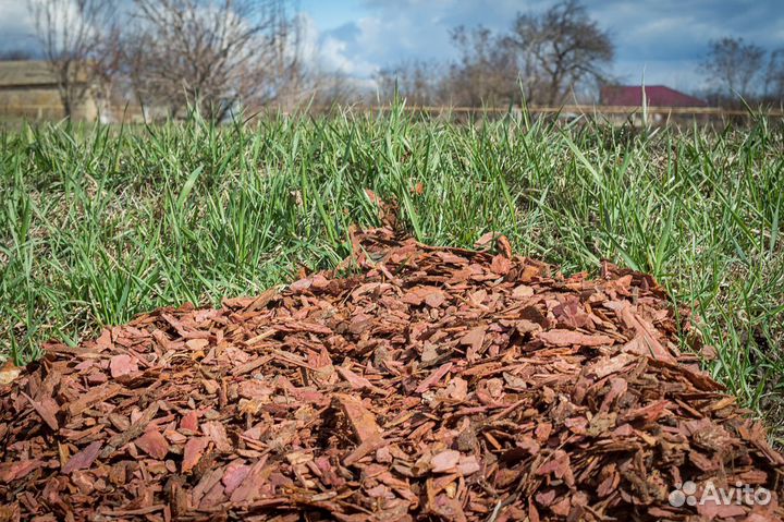 Кора, мульча лиственницы, сосны. 