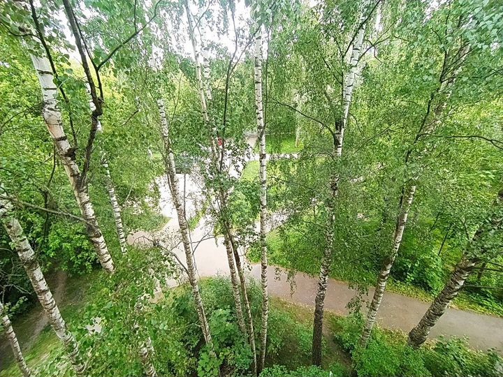 2-к. квартира, 41,4 м², 4/5 эт.