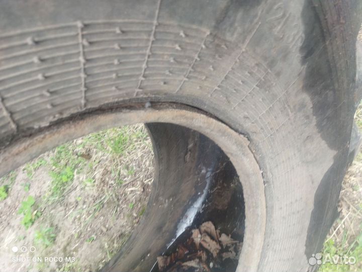 Покрышки