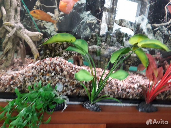 Украшение для аквариума