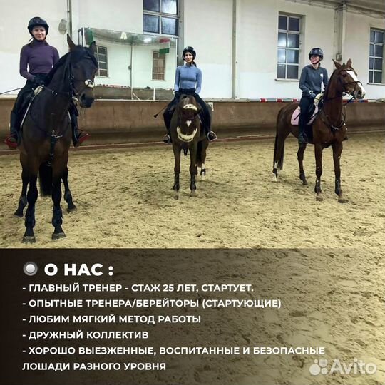 Обучение верховой езде, конкур