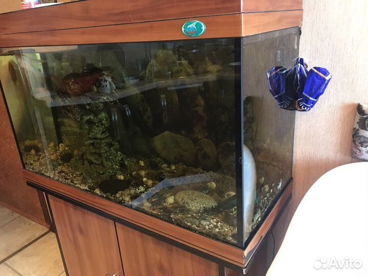 Аквариум 200 литров с тумбой