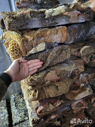 Рубец говяжий требуха