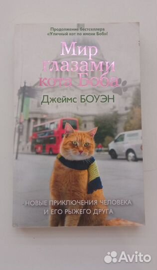 Уличный кот по имени Боб и Мир глазами кота Боба
