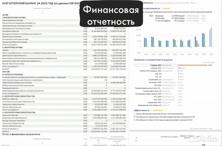 Проверка юридических лиц (выгрузка из сбис)