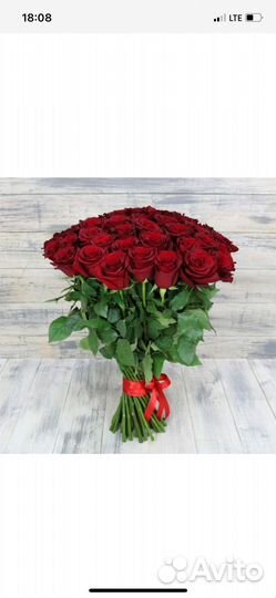 Роза эквадор Explorer