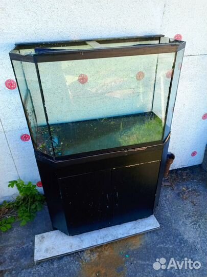 Аквариум с тумбой 140. Литров