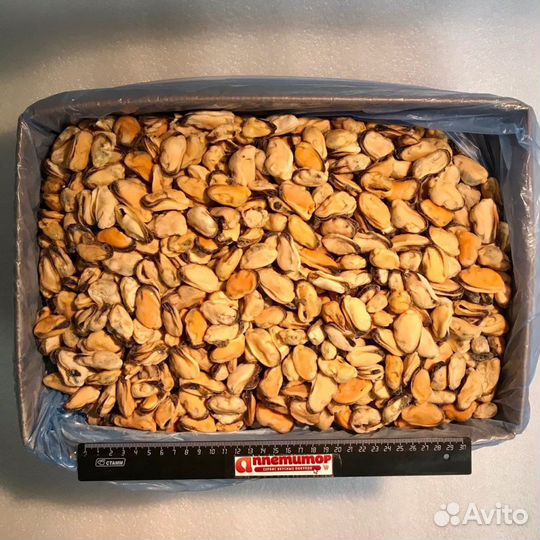 Мясо мидий Чили 100-200