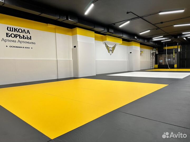 Мат гимнастический 2х1х0.1м пвв