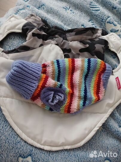 Одежда для собак