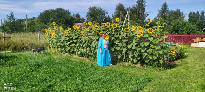 Участок 17 сот. (ИЖС)