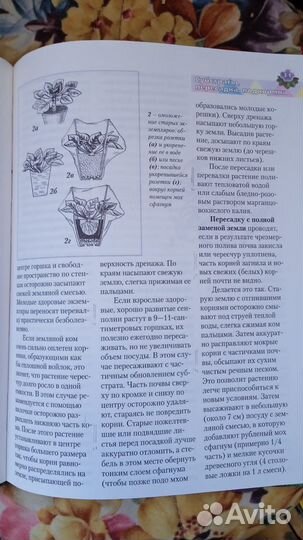 Книга Сенполии (уход за фиалками)