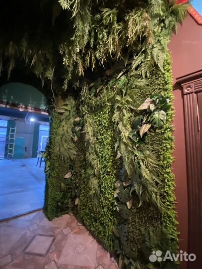 Мох. Вертикальное озеленение. Фитостена. Декор