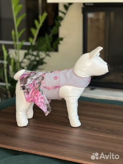 Одежда для собак