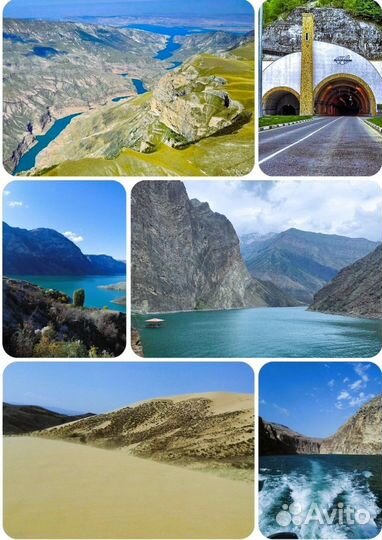 Гид экскурсовод