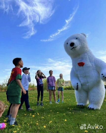 Огромный Медведь поздравление / белый мишка