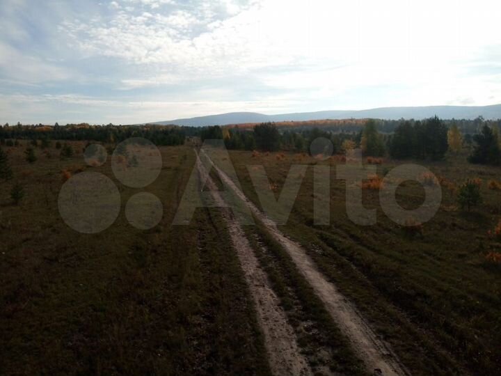 Участок 1,25 га (ИЖС)