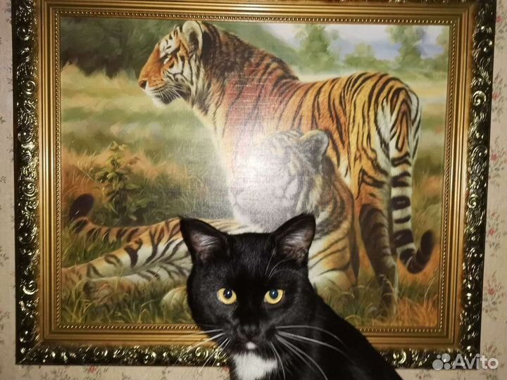 Котик для вязки