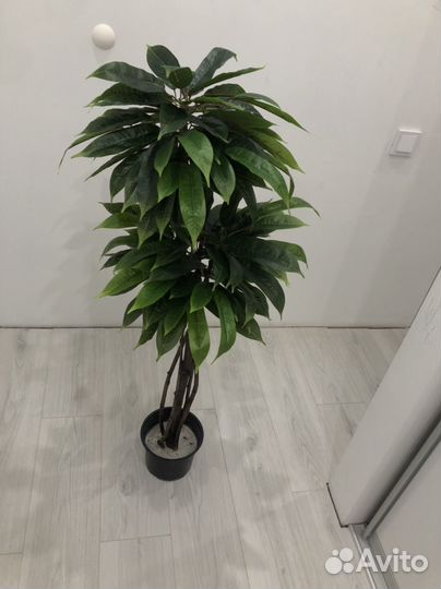 Манго искусственное дерево