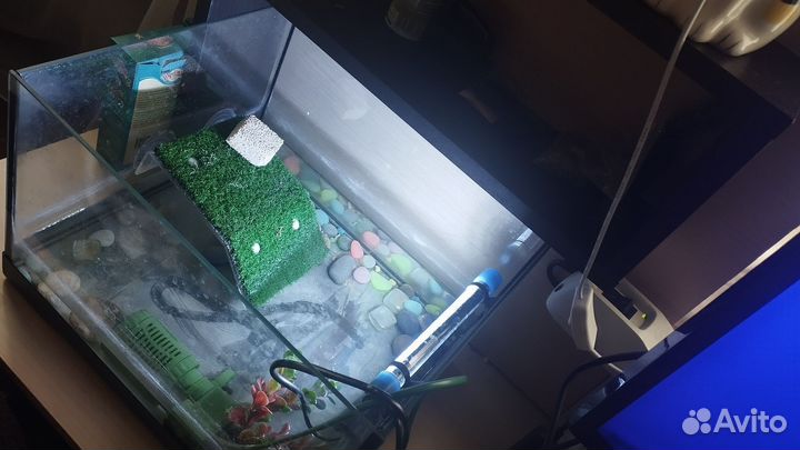 Аквариум со всем содержимым