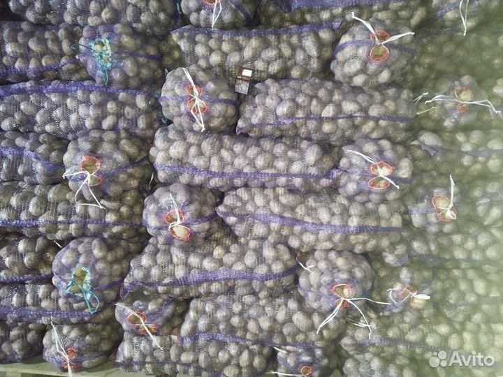 Продам картофель оптом