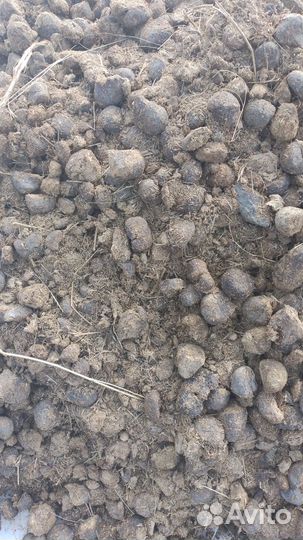 Навоз конский в мешках