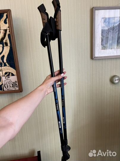 Палки для скандинавской ходьбы