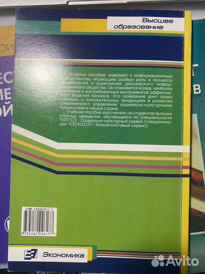 Пособие для вуза Информационный консалтинг