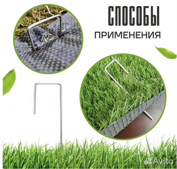 Растения для сада