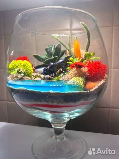 Флорариум подарок