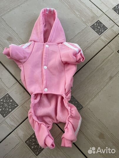 Одежда для кошек