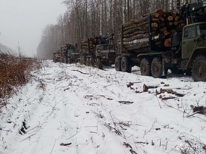 Урал на вывозку