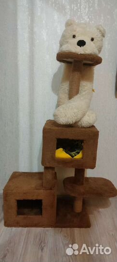 Когтеточка домик для кошки бу