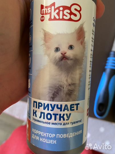 Принадлежности для питомца / кошки / собаки
