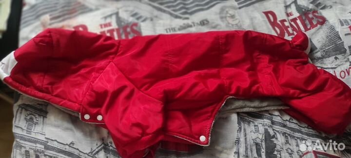 Поводок для собак