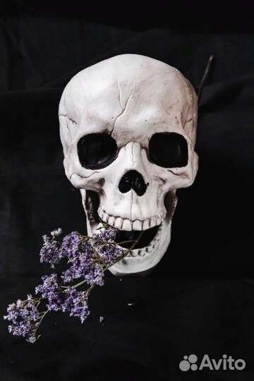 Бюст / Статуэтки / Фигуры