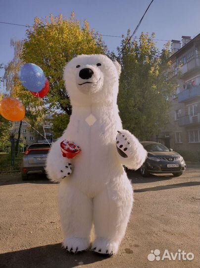 Белый мишка поздравление