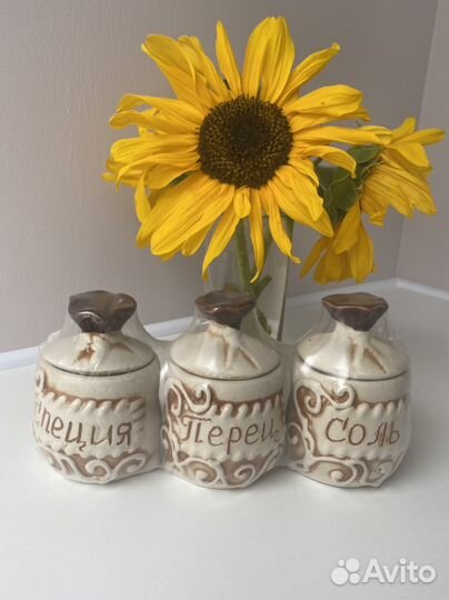 Набор баночек для специй