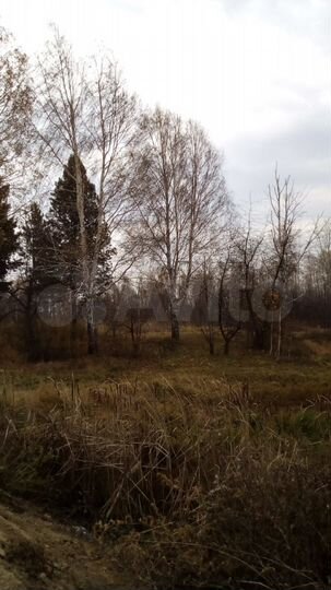 Участок 17 сот. (ИЖС)